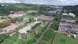 ufv,-ufjf-e-ufsj-sao-as-3-melhores-universidades-do-interior-de-mg,-aponta-ranking-internacional