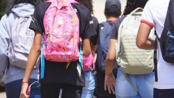 pesquisa:-maioria-considera-escolas-publicas-do-df-inseguras