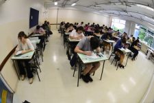 unicamp-2024:-vestibular-tem-alta-em-candidatos-pretos-e-pardos,-de-escola-publica-e-optantes-por-cotas