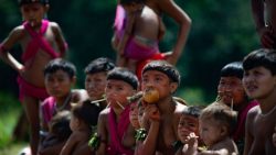 indio-ou-indigena?-termo-usado-por-rodriguinho-no-‘bbb-24’-gera-discussao-e-etnolinguista-explica