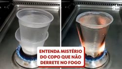 video-em-que-copo-de-plastico-descartavel-com-agua-nao-derrete-ao-ser-colocado-no-fogo-viraliza;-entenda-por-que-isso-acontece