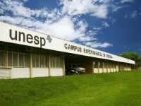 unesp-2024:-lista-de-aprovados-em-quinta-chamada-e-divulgada;-veja-como-consultar